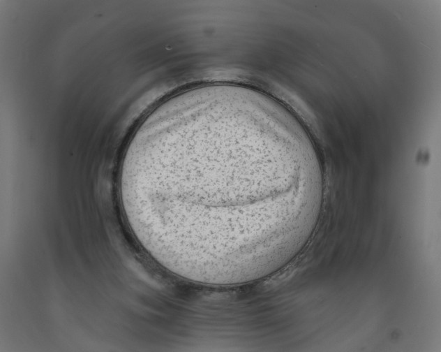 X0000091890155200710031809