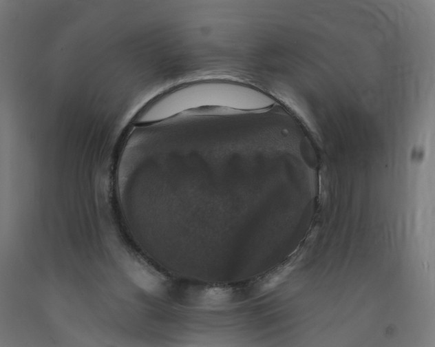 X0000091890156200710031809