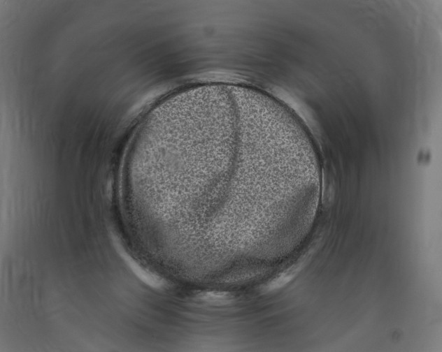 X0000091890157200710031809