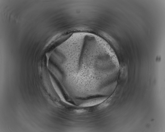 X0000091890158200710031809
