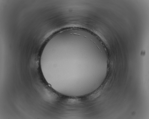 X0000091890160200710031809