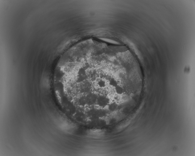 X0000091890161200710031809