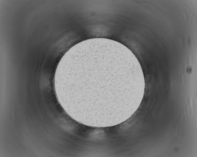 X0000091890162200710031809