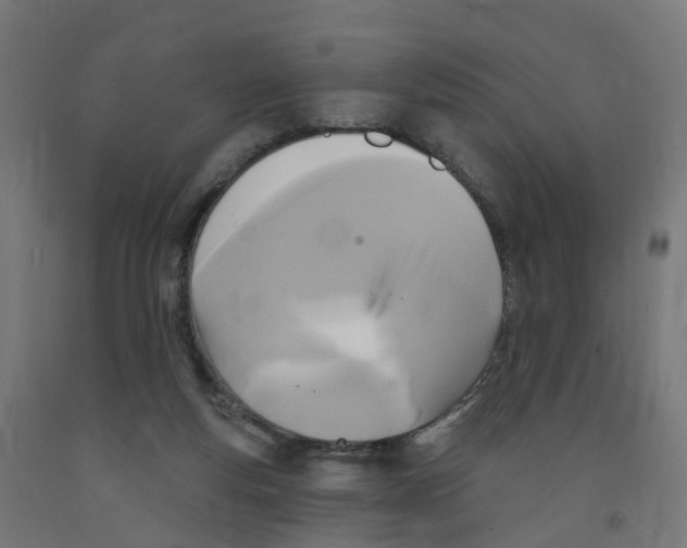 X0000091890163200710031809