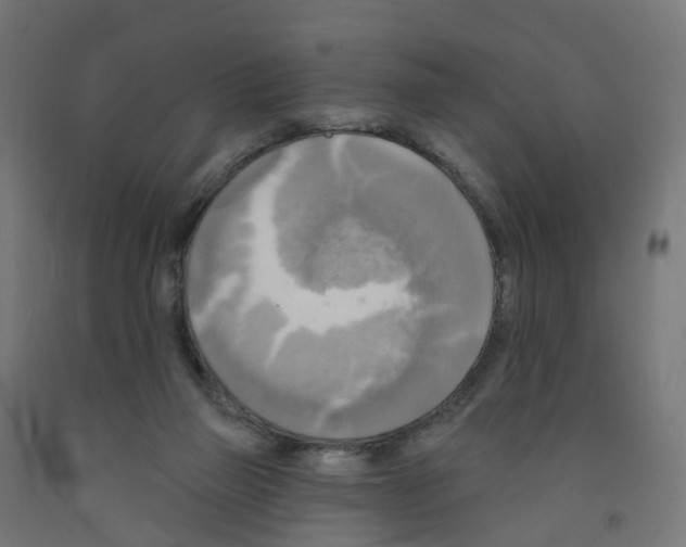 X0000091890165200710031809