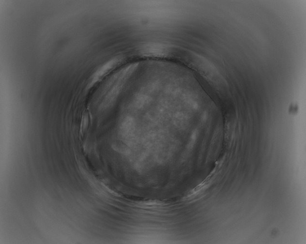 X0000091890168200710031810