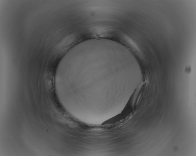 X0000091890169200710031810