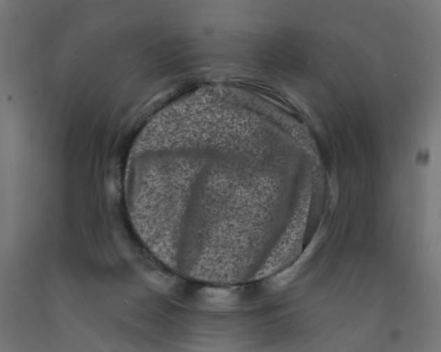 X0000091890170200710031810
