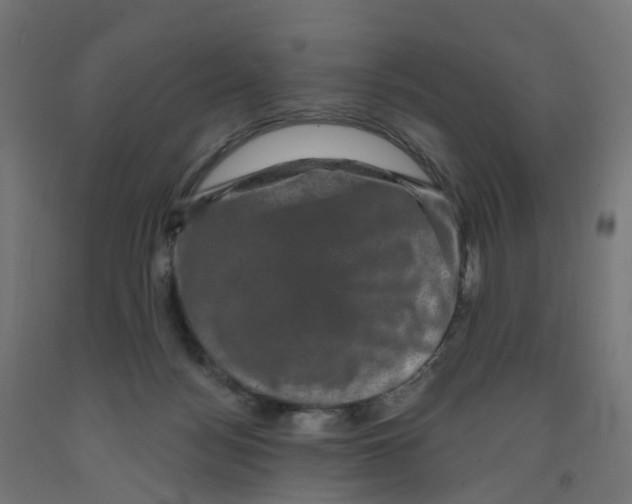 X0000091890172200710031810