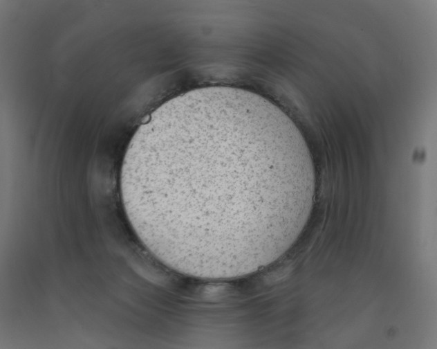 X0000091890173200710031810