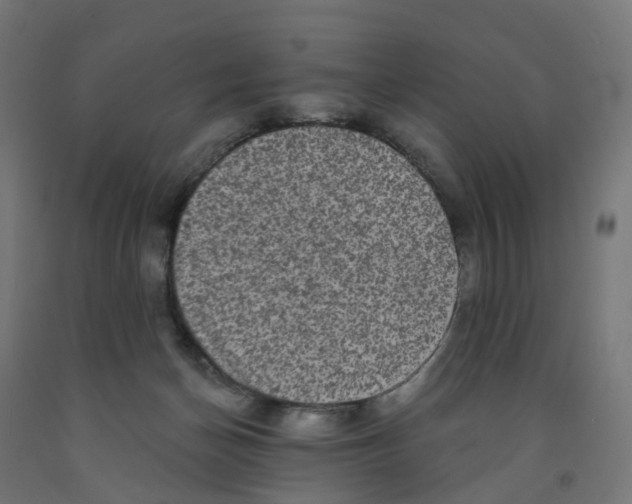 X0000091890174200710031810