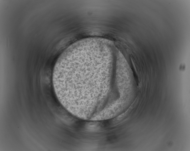 X0000091890175200710031810
