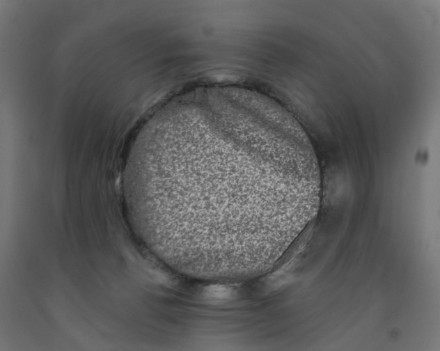 X0000091890176200710031810