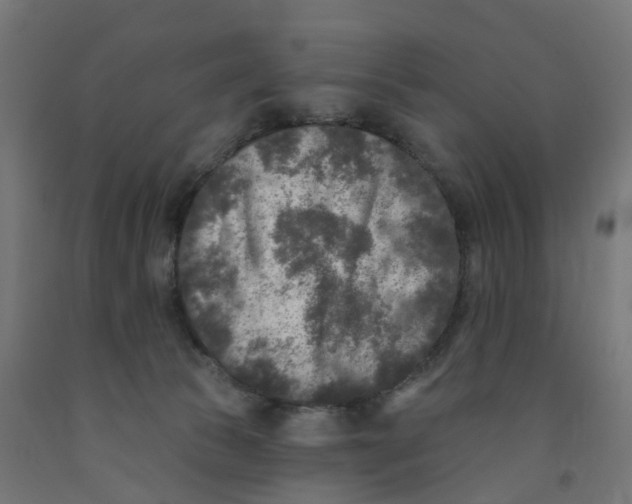 X0000091890177200710031810