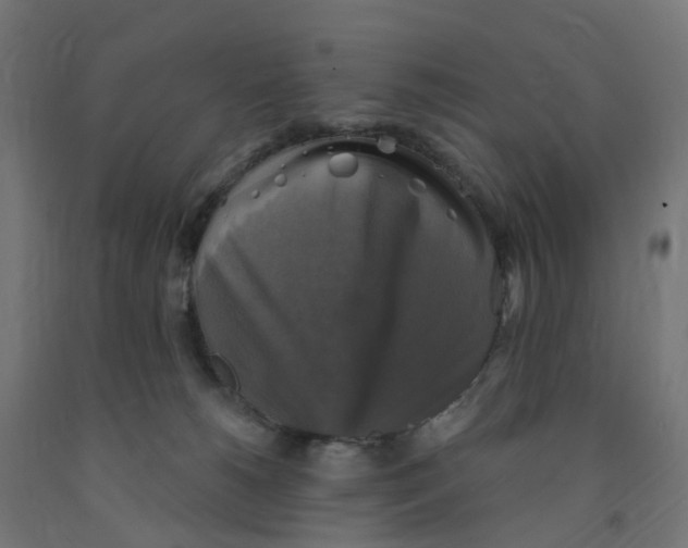 X0000091890180200710031810