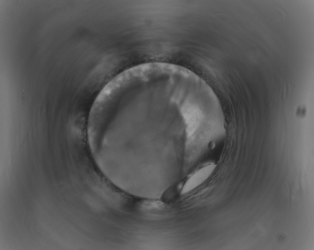 X0000091890181200710031810