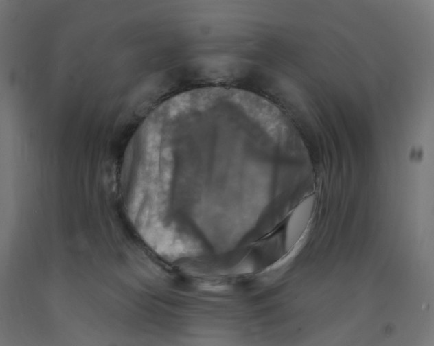 X0000091890182200710031810