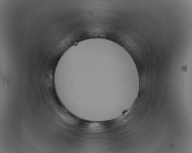 X0000091890183200710031810