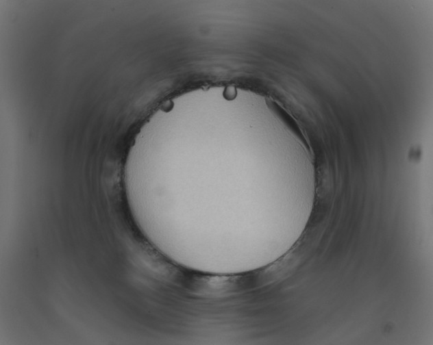 X0000091890184200710031810