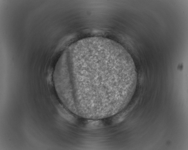 X0000091890185200710031810