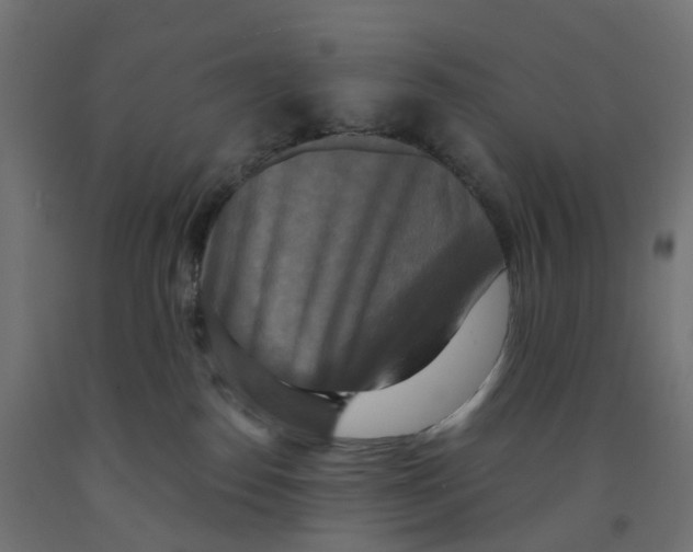 X0000091890186200710031810