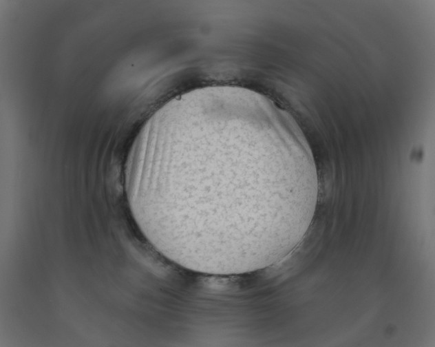 X0000091890187200710031810