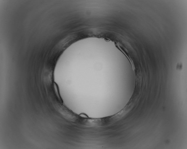 X0000091890188200710031810