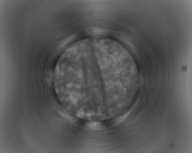 X0000091890189200710031810