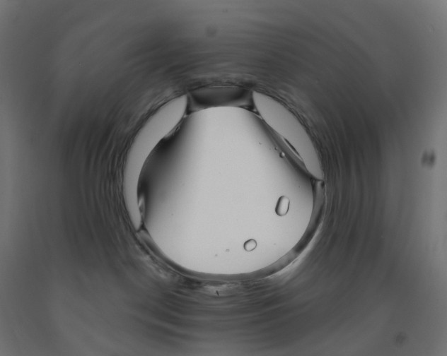 X0000091890190200710031810