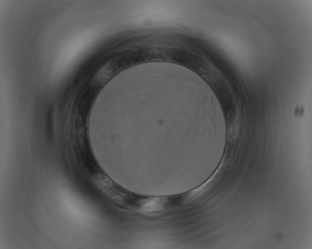 X0000091890191200710031810