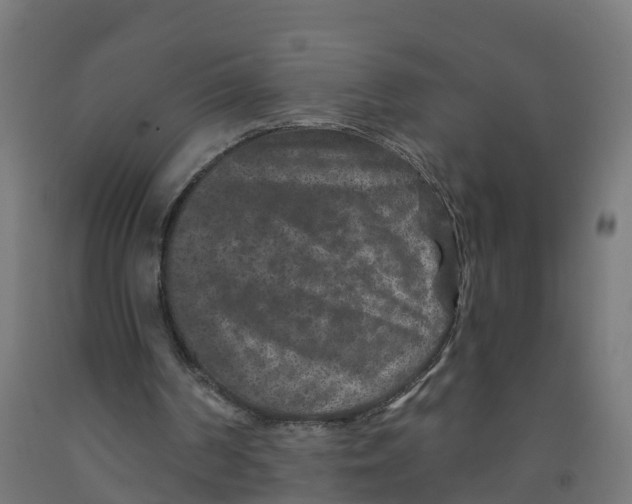 X0000091890194200710031809