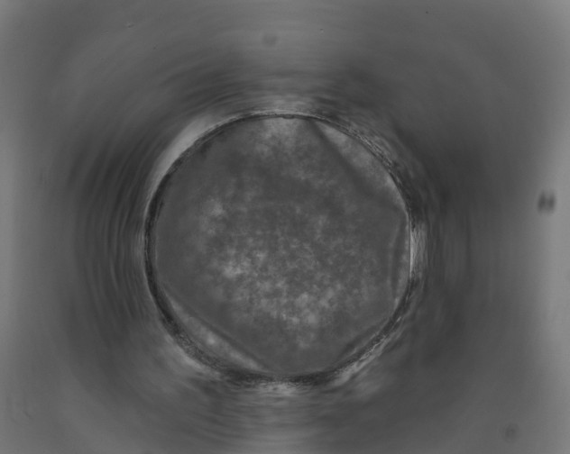 X0000091890195200710031809