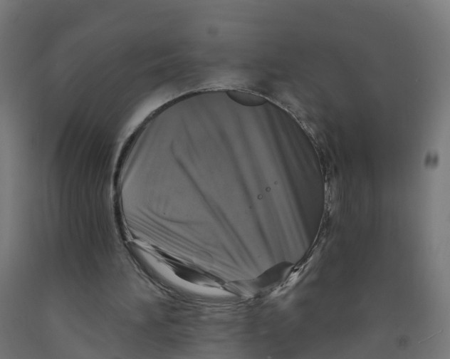 X0000091890196200710031809