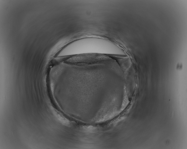 X0000091890197200710031809