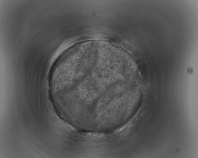 X0000091890198200710031809