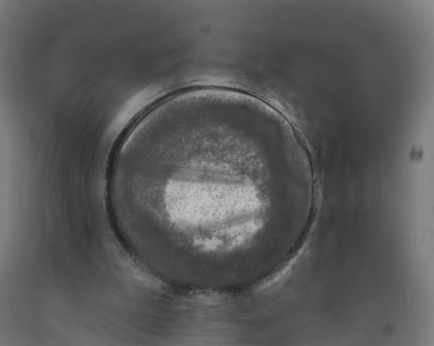 X0000091890199200710031809