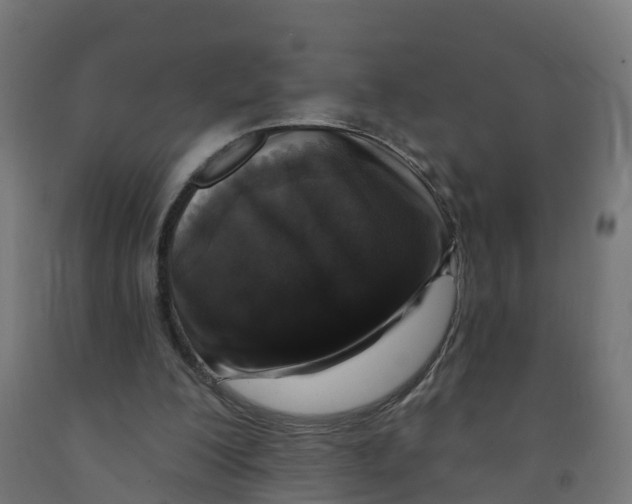 X0000091890200200710031809