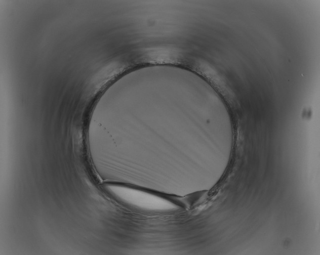 X0000091890202200710031809