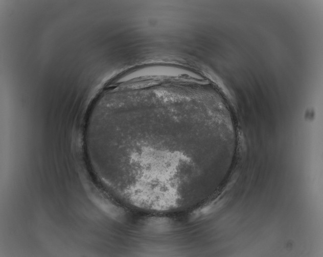 X0000091890203200710031809