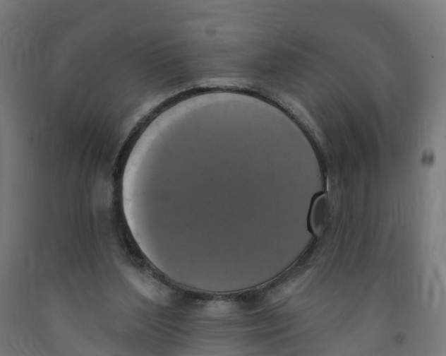 X0000091890204200710031809