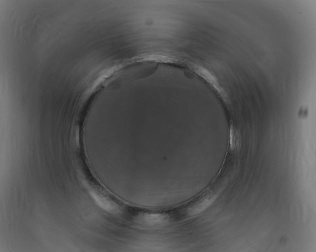 X0000091890205200710031809