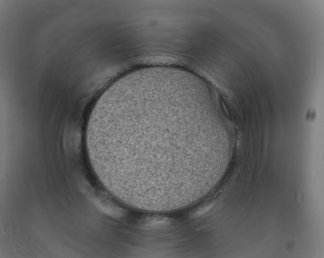 X0000091890206200710031809