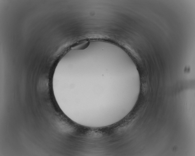 X0000091890207200710031809