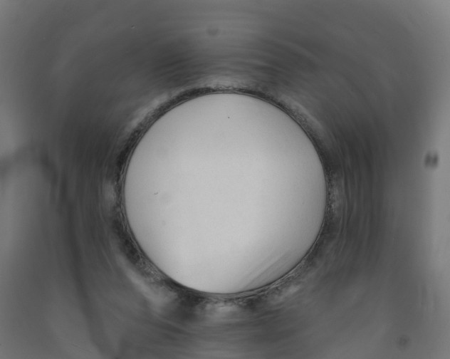 X0000091890208200710031809