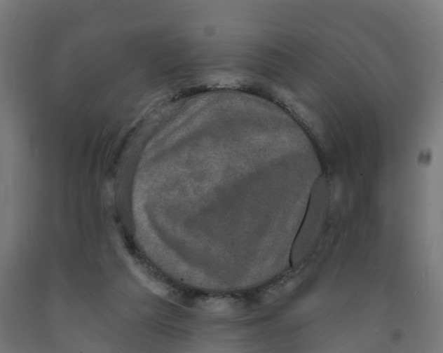 X0000091890209200710031809