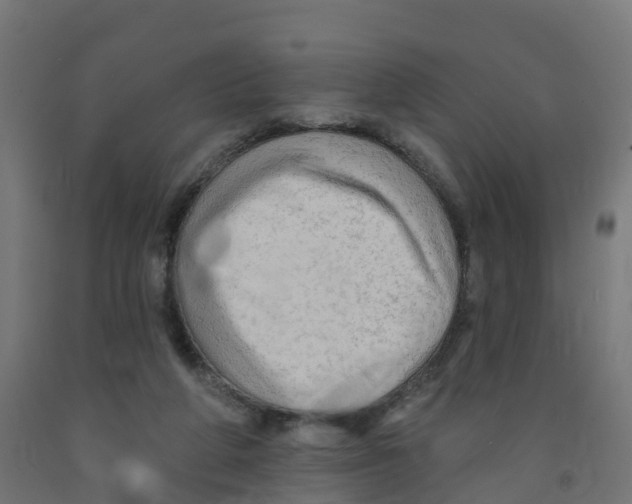 X0000091890210200710031809