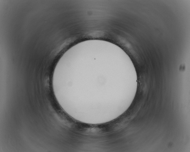 X0000091890212200710031809