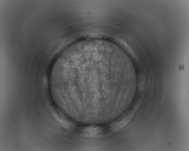 X0000091890213200710031809