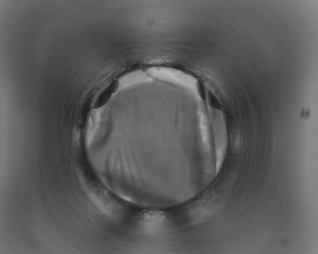 X0000091890214200710031809