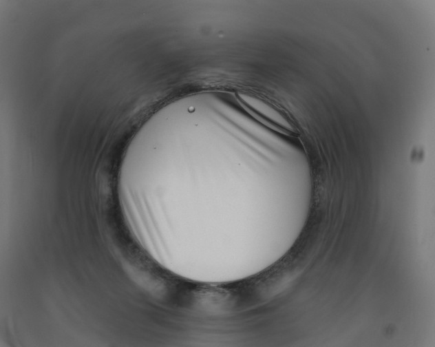 X0000091890215200710031809